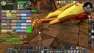 월드 오브 워크래프트 2025 20주년 서버 검은날개 둥지 레이드 사제