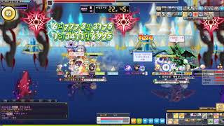 메이플스토리 팔라딘 노멀 윌 스펙다운 이후 파티격 40