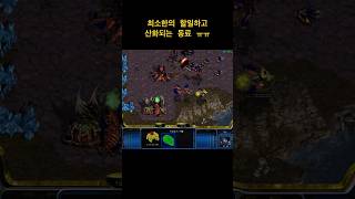 스타크래프트 대저그전 패스트 리버