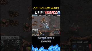 이제동선수가 발키리를 싫어합니다