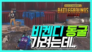 모바일 배틀그라운드 비켄디 동굴 안들어가도 되네요ㅋㅋㅋ…
