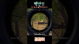 나뭇잎 마을 닌자한텐 식은 죽 먹기 #배그 #배틀그라운드 #쇼츠 #shorts