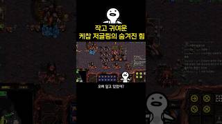 아날 저글링 무지성 돌격! 저글링의 숨겨진 힘. 스타크래프트 뉴비의 9일차 2번째판 #스타 #게임 #starcraft #뉴비