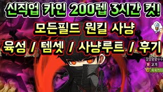 [메이플스토리 맑음] 신규직업 카인 육성 200렙 3시간 컷! 모든필드 원킬 사냥 육성 / 사냥루트 / 템셋팅 / 경험치 도핑 / 육성 후기