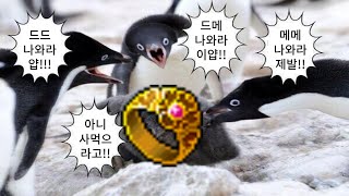 열번 찍어 안넘어가는 드메 없다 [메이플]