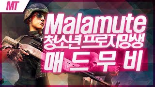 배틀그라운드 청소년 프로지망생 말라뮤트 기절킬 하이라이트 5  PUBG Malamute Kill Highlights 5