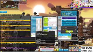 메이플스토리 스카니아 루미 육성