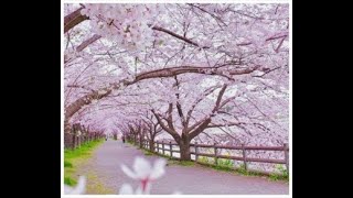 블소레볼루션 인도 여행갔다가 1달만에 복귀 잘해보아여 던전비무