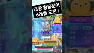 대왕 황금문어 '6레벨' 도전! (메이플스토리)