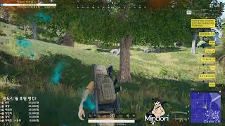 Mindori 배틀그라운드