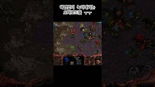 스타크래프트 하염없이 녹아내리는 오버로드