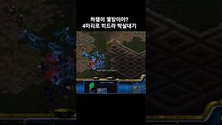 하템이 몇방이야? 4마리로 히드라 박살내기 #스타크래프…