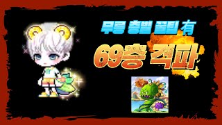 플레임위자드 무릉 69층 클리어, 팁 정리 [런플, 메…