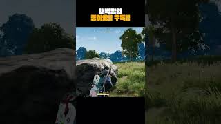 정신없는 배틀그라운드에서 살아남는 방법