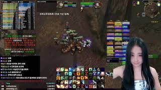 wow와우 와요일 검둥/화심 레이드 ㄱㄱ 펜구스흉포 초…