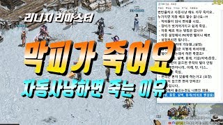 마법인형 막피들이 자동사냥 캐릭을 죽이는 이유 리니지 …