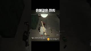 판처 오진다 띠바~ #배틀그라운드