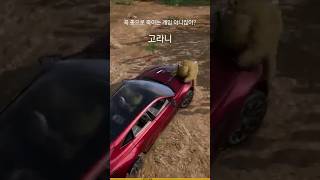 #배틀그라운드 1대1이라고 긴박하게 총 쏘면서 싸울 필…