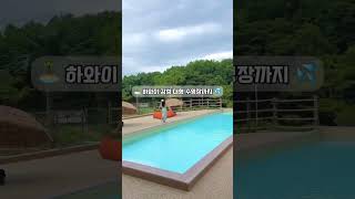  현실판 메이플스토리 다녀온 후기 /  알록달록 메이플…