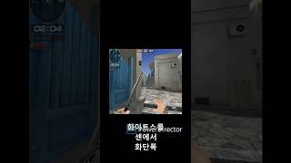 화이트스콜 센에서 화단폭