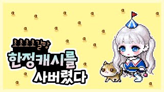 메이플 한정캐시 구매 후기 .. [ 메이플스토리 뿌으]