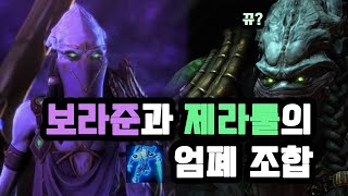 제라툴과 보라준의 엄폐조합 ㅋㅋㅋㅋㅋ || 스타크래프트…