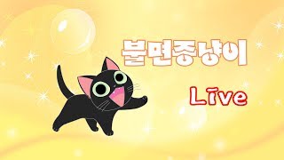 [Live]냥이는 디아블로 법사로 쩔받는중~~^^-델세르얼보(18/07/04)