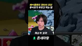 켄타의조언 공략 #혼세마왕 #메이플랜드 #크루세이더 #…