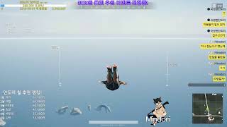 Mindori 배틀그라운드