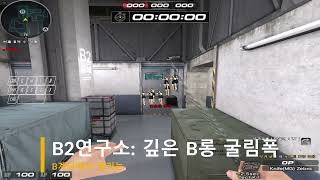 펠리스 B롱 깊은 굴림폭2 【서든어택】
