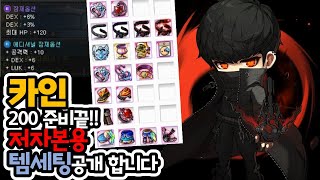 메이플스토리 저자본용 카인 템세팅 공개합니다.