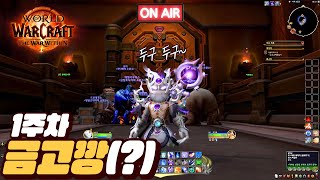 [와우 내부전쟁] 카이베자 N트째..ㅋㅋ #본섭 #냉법 #와린이