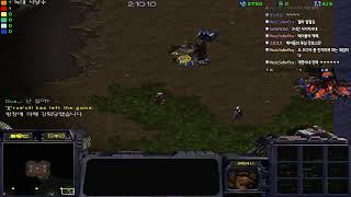 Lucill님의 실시간 스트림