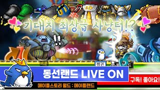 [메이플랜드] 가성비 최상급 사냥터에서 파밍하기 버푼편…