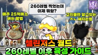 260레벨 이후 가장 효율적으로 육성하는 방법 (하이퍼버닝맥스 260레벨 이후 가이드)