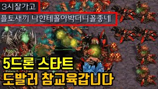 5드론으로 시작된 도발러 참교육 역전 【빨무 스타크래프…