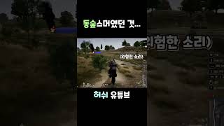 동숲스머 였던것[배그/배틀그라운드]