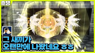 그새끼 [흐쟁이 겟앰프드]