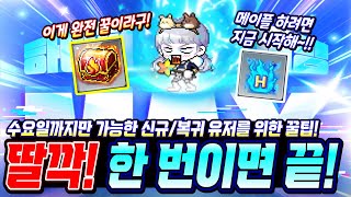 [한자] 22주년 기념 메이플 하려는 신규/복귀 유저분…