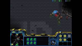 스타크래프트 리마스터 빨무 Live Starcraft …