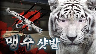 갓주일 맹수로 변신... 아무도 못 막습니다 【서든어택 랭크전】