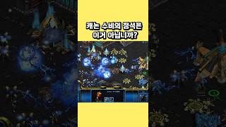 캐논 수비의 정석은 이거 아닙니까? #스타크래프트 #프…
