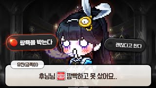 사실 TOP 5 포기하려고 했습니다.. [발드릭스 일대…