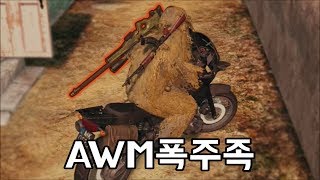 개꿀잼 15배율과 AWM의 미친 캐리력 배틀그라운드