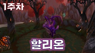 [와우 리분 클래식] 얼음왕관성채 25인 (올하드) + 루비성소 25인 할리온 (하드)