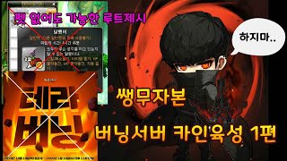 메이플스토리를 카인으로 처음하는분들위한영상 (무자본카인…