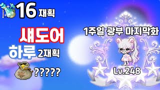 메이플스토리 섀도어 광부 하루 2재획 1주일마지막화