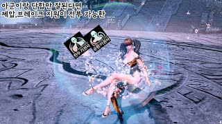 [B&S KR]천공의 유랑선6단 기권사 계열스왑 플레이 트라이