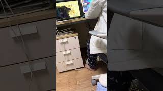 엘소드 합법 생체 매크로