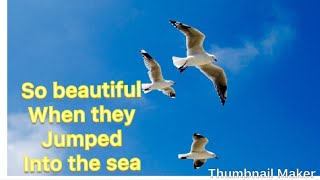 Wow wow wow the beauty of thei…